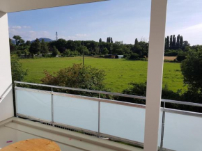 Wohnung in Freiburg Betzenhausen